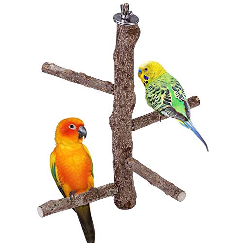 Acbungji -   Vögel Sitzstangen