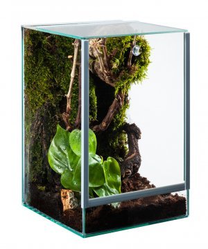 Aquariumimpex -  Glas Terrarium