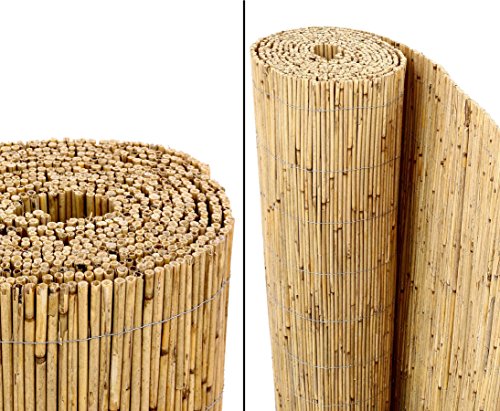 bambus-discount.com -   Schilfrohrmatten