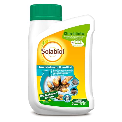 Bayer -  Solabiol
