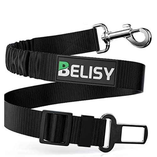 Belisy -   Universal Hunde