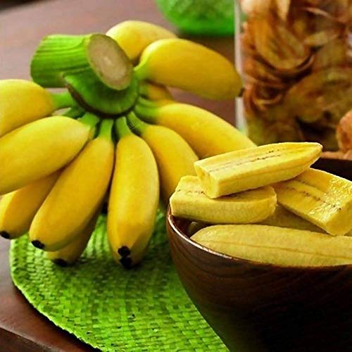 Benoon -   Bananensamen, 1