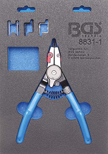 Bgs -   8831-1 |