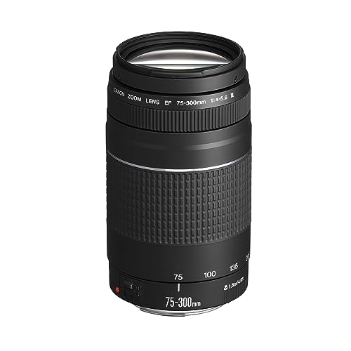 Canon -   Ef 75-300mm