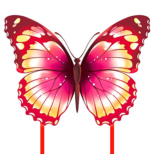 China -  Schmetterling