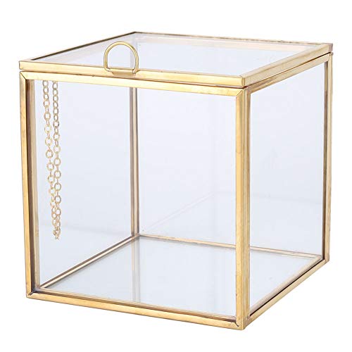 Cikonielf -  Glas Terrarium Gold
