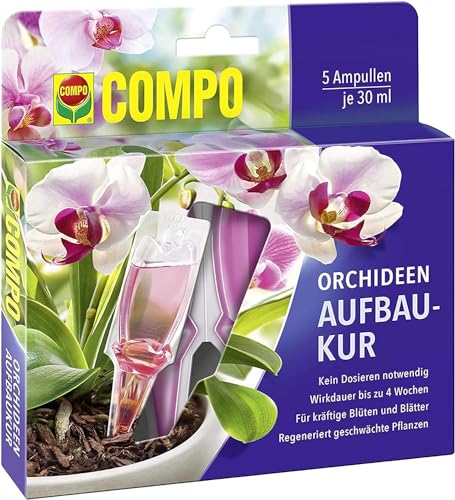 Compo -   Orchideen-Aufbaukur