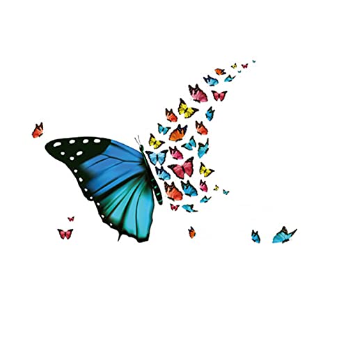 Dadaorou -  Schmetterlinge