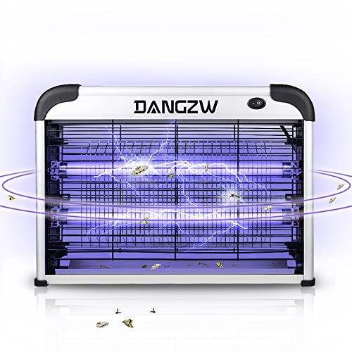 Dangzw -   Elektrischer