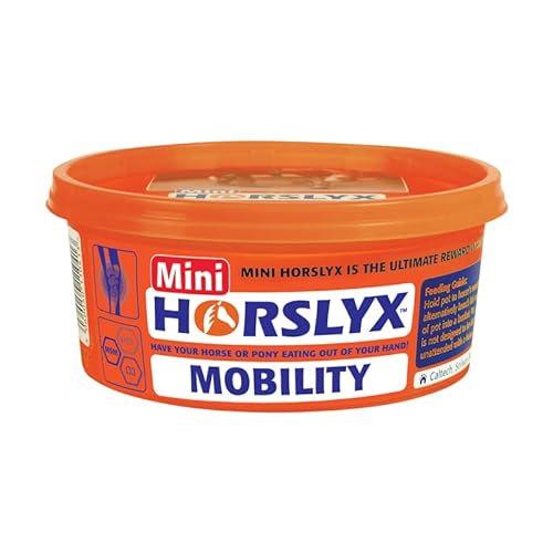 Derby -  Mini Horslyx