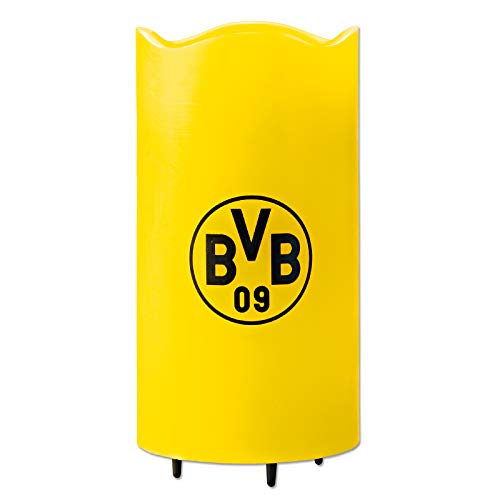 Ds Produkte GmbH -  Borussia Dortmund
