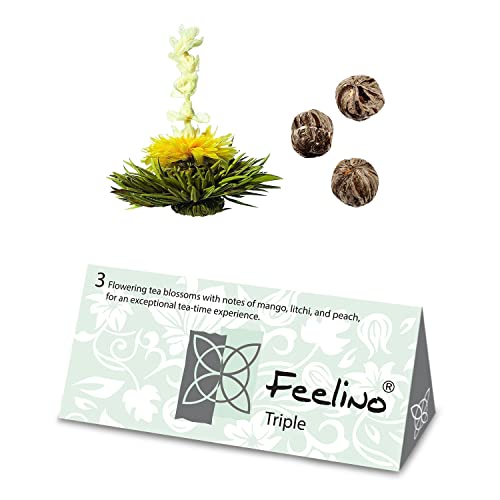 Feelino -   3er-Box