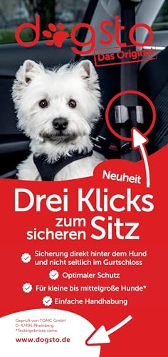 Ffl GmbH -  Dogsto Hunde
