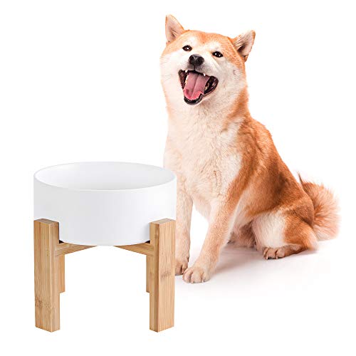 Hchlqlz -  Hoch Keramik Hund