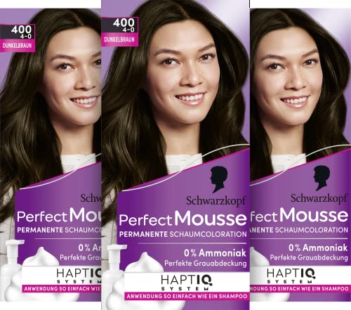 Henkel Beauty Care -  Perfect Mousse
