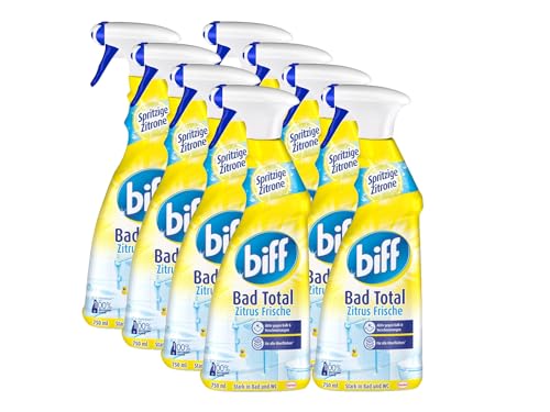 Henkel Detergents De -  Biff Bad Total