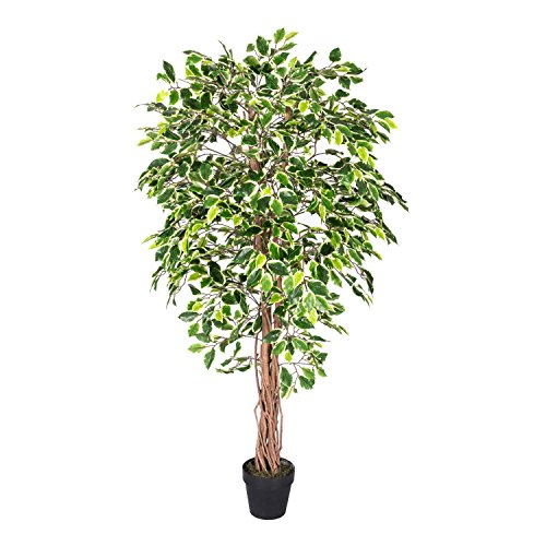 Homescapes -   Kunstbaum Ficus