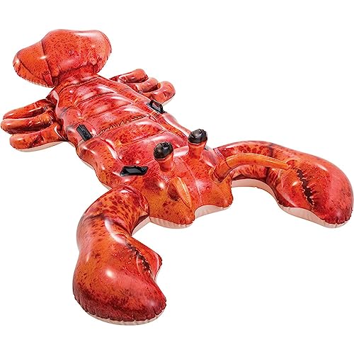 Intex -   57533Np Lobster