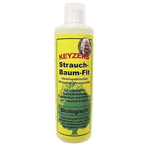Keyzers -   Strauch-Baum-Fit
