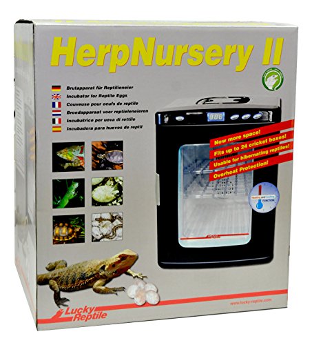 Lucky Reptile -   Hn-2 Herp Nursery