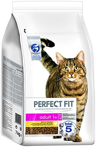 Perfect Fit -   Adult 1+ -