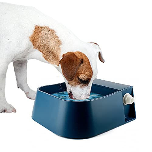 Petleso -   Hunde Wassernapf