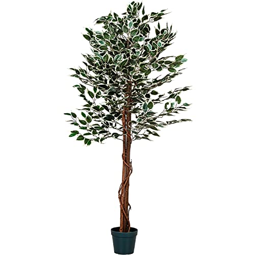 Plantasia -   Künstlicher Ficus