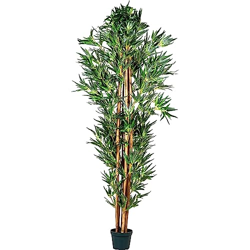 Plantasia -  ® Bambus-Strauch,