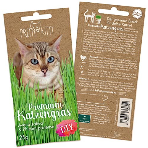 Pretty Kitty -  Premium Katzengras