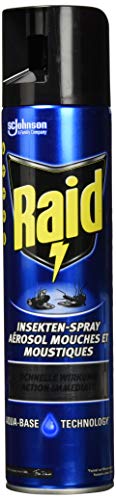 Raid -   Paral
