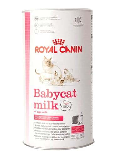 Baby Katzen Normale Milch