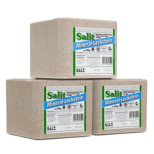 Salit -  Mineralleckstein -