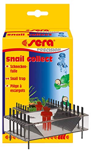 sera -   snail collect -