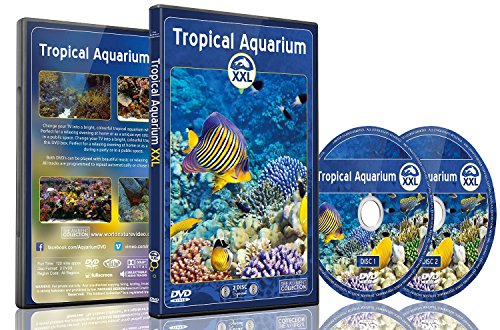 The Ambient Collection -  Aquarium Dvd - 2 Dvd