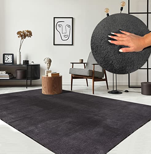 the carpet -   Relax Moderner