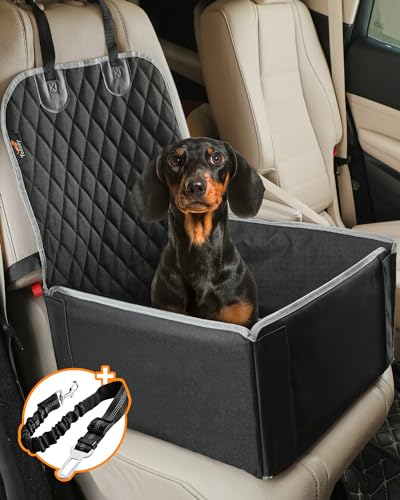 Toozey -   Hunde Autositz