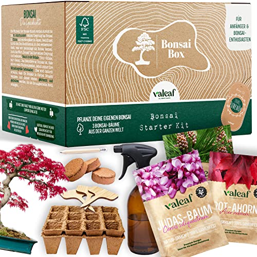valeaf -  Bonsai Starter Kit I