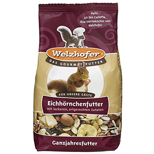Welzhofer -  Eichhörnchenfutter
