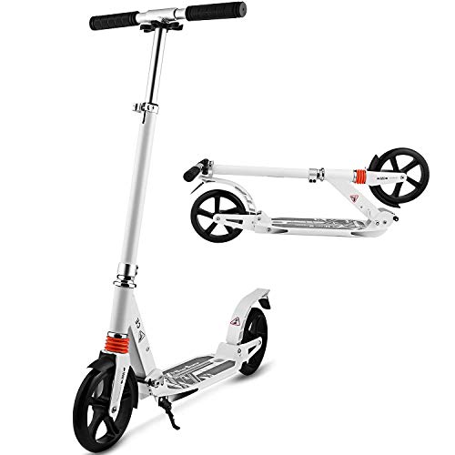 WeSkate -  City Roller Scooter